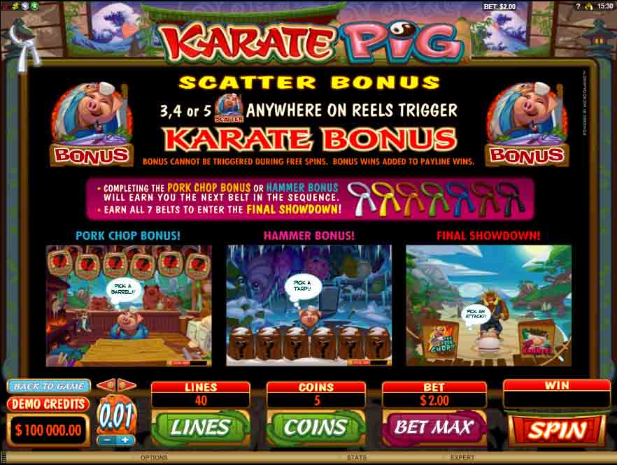 โบนัสสล็อตออนไลน์ Karate Pig จากค่ายเกม Microgaming ทุกคนมีโอกาสที่จะได้โบนัสเท่ากัน 